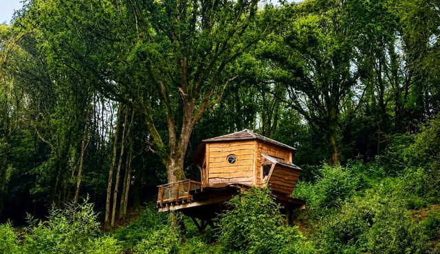 Cabane dans les arbres d'Ineas