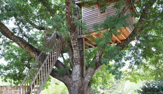 Cabane perchée with Jacuzzi, in the heart of the Luberon