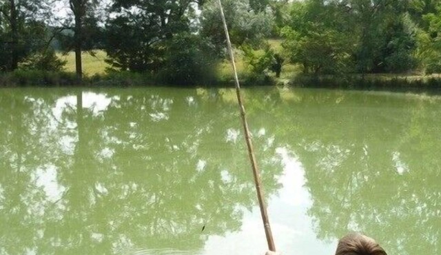 Calm, Private Lake For Fishing, Near Lectoure Spa