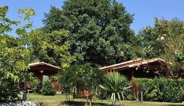 Campsite Midi Pyrenees * - Chalet 1 bedroom 2 people