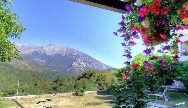 Cardu - MURACCIOLE - Gîte