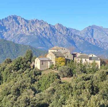 Casa Rosa