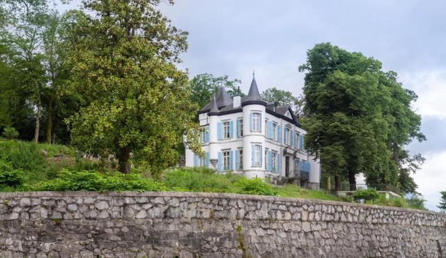 Château de Druon
