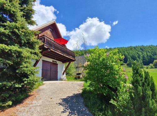 Chalet 5 pers avec balcon, animaux admis, garage, Chaillol 1600 - FR-1-393-13