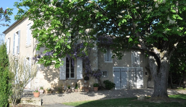 Character house in wooded park with swimming pool