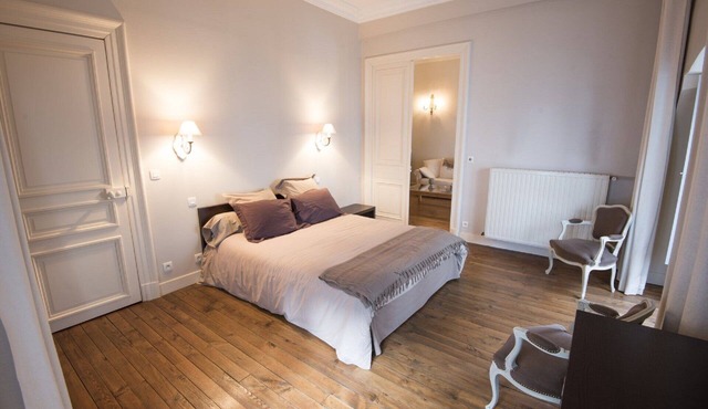 Charming apartment downtown Pau (64)
