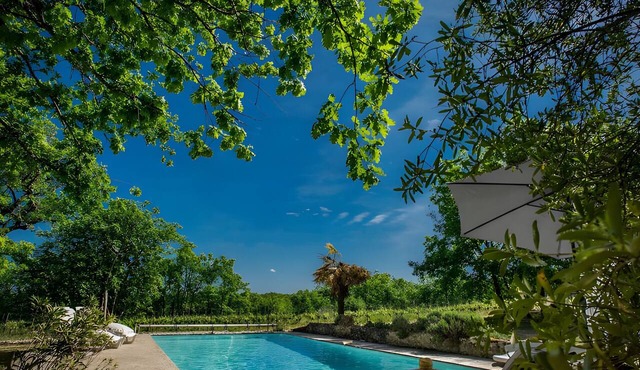 Charming Cottage in Fargues (Prayssac/Montcuq) — Private Pool & Spa, Vineyard View