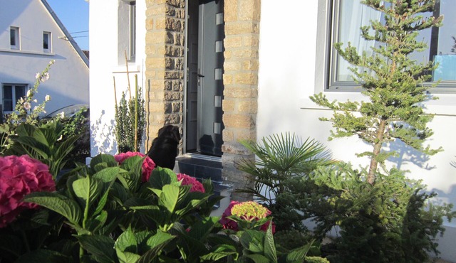 Charming house, 3*, 400m from the beach, GR34 and thalasso baths