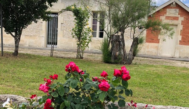 Chez Lysette