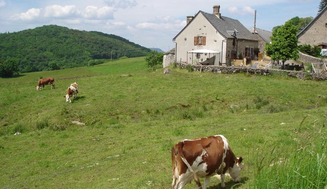 Chez Marraine