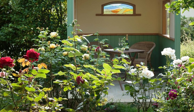 Comfortable accommodation in French countryside on permaculture smallholding.