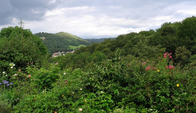 Detached stone house in a 3-hectare property in the Pyrenean foothills