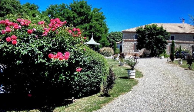 Domaine des oiseaux