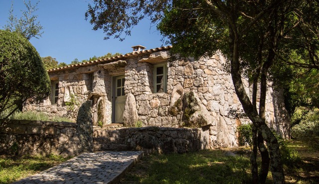 Domaine Pardini - Casetta Murta