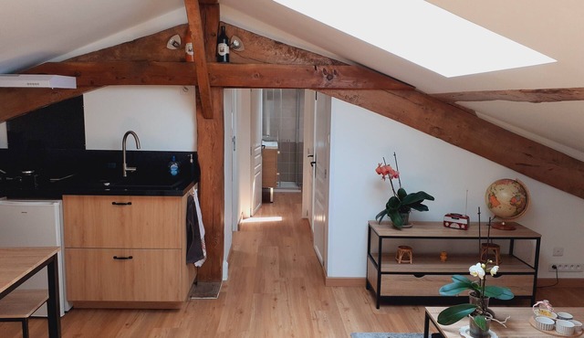 Entire apartment