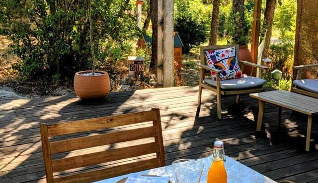 Forest Cabin · Terrace and BBQ · Donkeys and Hiking · 5 min from downtown Forcalquier