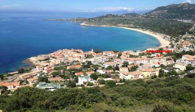 French flat T2, Seaside, Corsica, Balagne, Calvi, Ile Rousse, Algajola