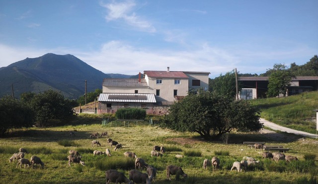 Gîte des Millets en Baronnies - Rosans 05