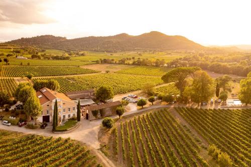 Gîte Vert d'olive au milieu des vignes - Château Les Apiès