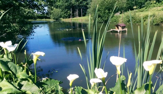 Gite 1 Arum, la Sapinière-24300-parc-3ha-piscine-étang-mini golf