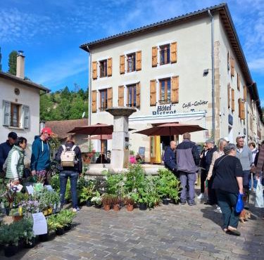 Hôtel Bistrot Les Tanins