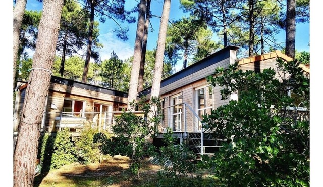House in the pines between lake and ocean