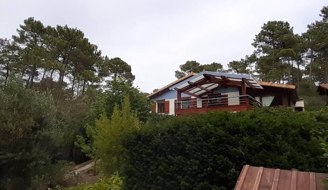 House in the pine forest near lake and ocean