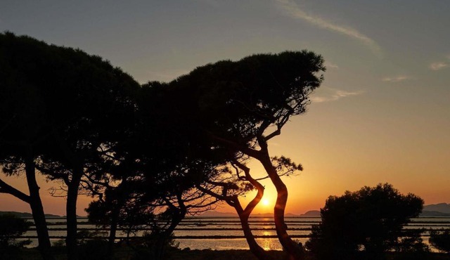 Ibis Budget Hyères