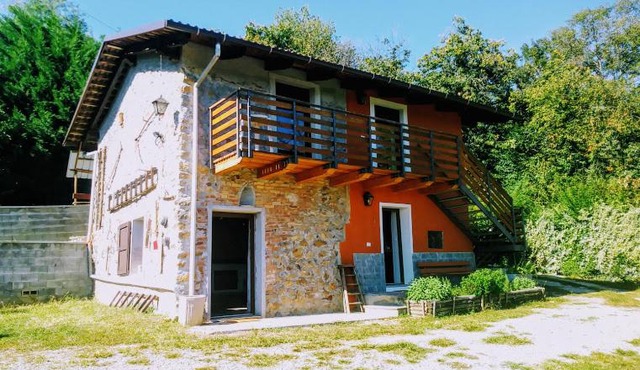 Il Pettirosso