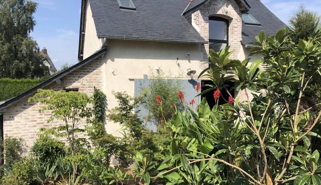 Jungle house
