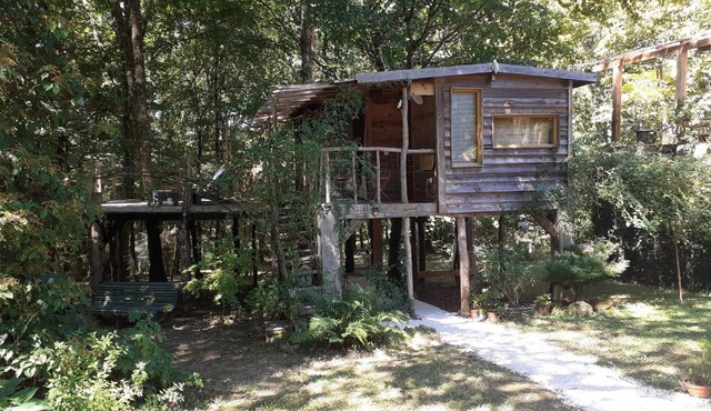 La cabane de l'oiseau