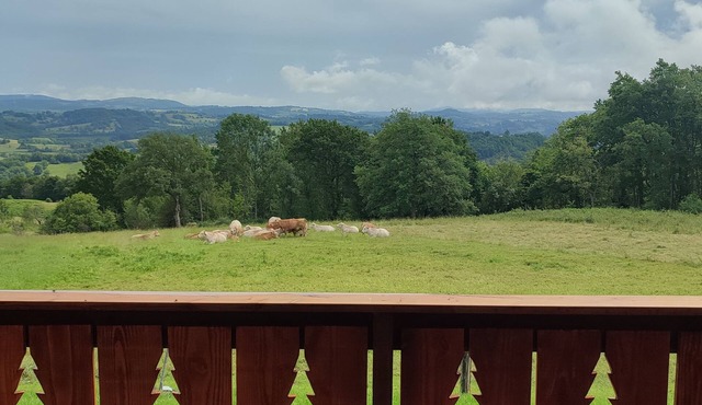 La Cabane Insolite