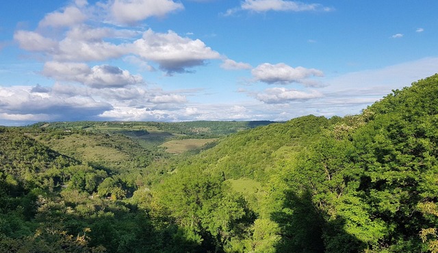 La Fontanelle Cottage near Rodez and Conques – Vineyard Views