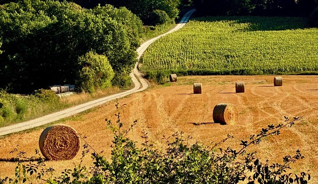 La Palette Rossignol: Swimming pool, spacious rooms & private bath in Occitanie
