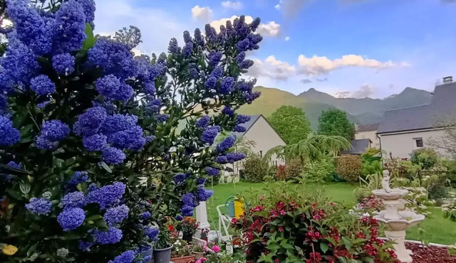 Le Balcon des Cimes
