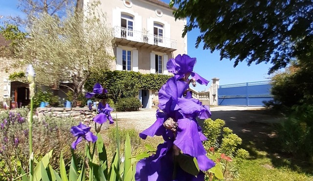 Le clos de la Salamandre