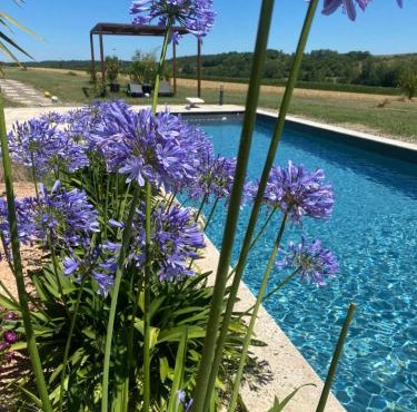 Le clos du Broca