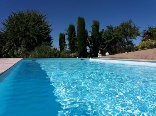 Le cocon vert