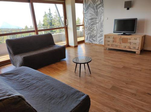 Les Domaines de LArselle à Chamrousse 1700 -Silènes A32 avec accès piscine - Classé 3 étoiles