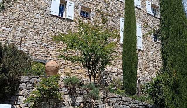 Les Roses Trémières