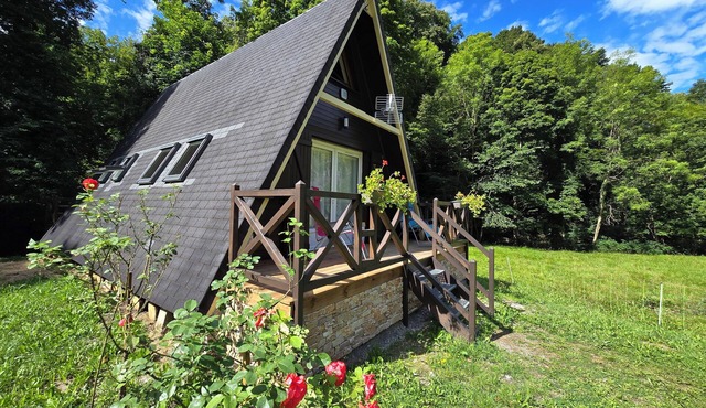 Location Chalet, Entièrement Rénové ,beaucoup de Charme, sur une Prairie