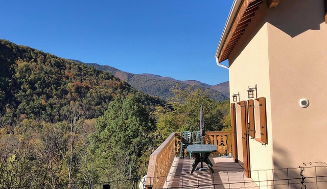 Maison Style Chalet de Montagne