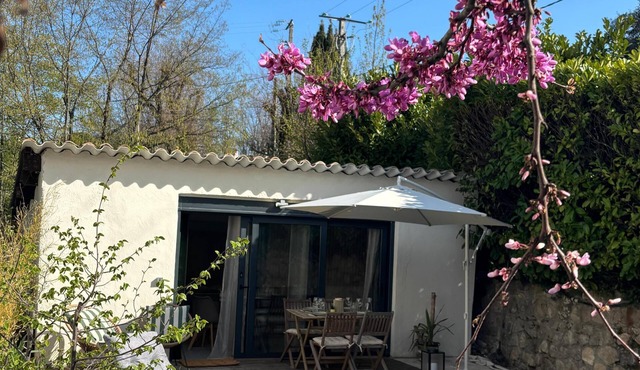 Mazet Léa - Quiet terrace & pool
