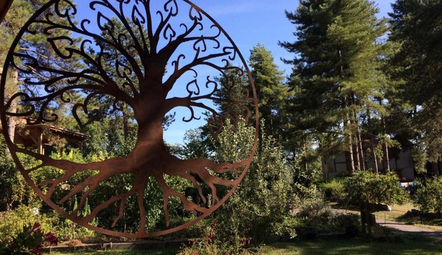 Murmures d'Arbres