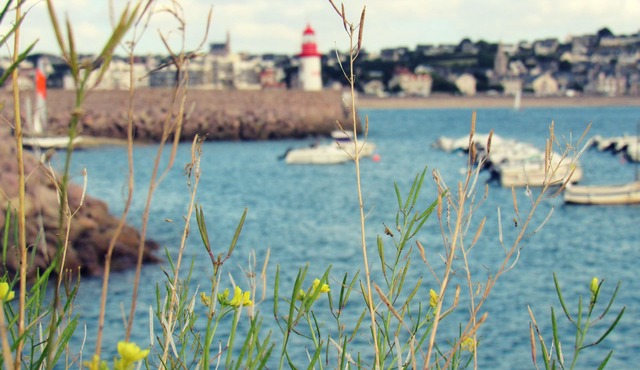OCTOBER - NOVEMBER ✨ Welcome to one of Brittany's most beautiful paradises ✨