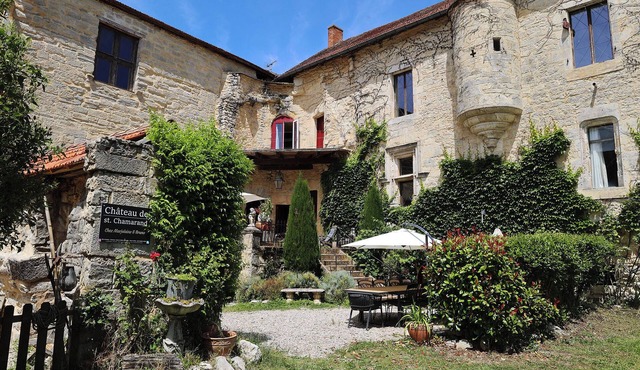 Our 2 Gîtes, Renaissance & Medieval, at the Château (18 people) - Lot