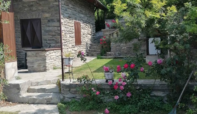 Pet-Friendly 'Mountain Chalet' with Pool