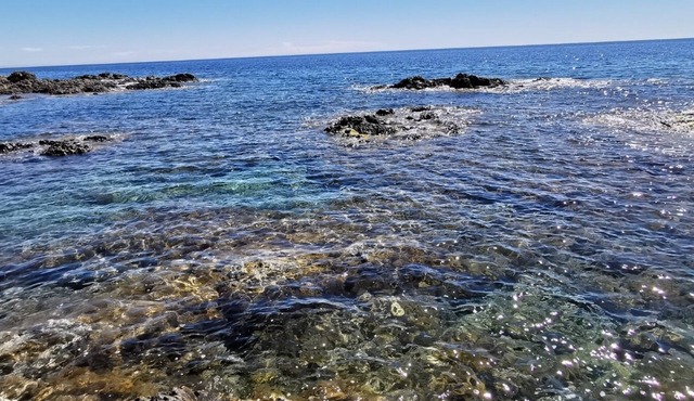 Pieds Dans L'eau Villa "crique aux Tortues"