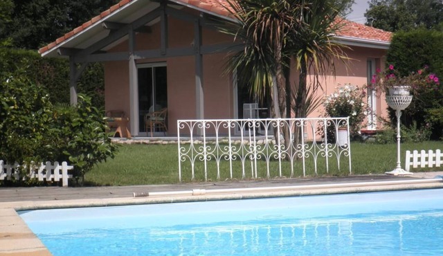 Prune - St-vincent-de-paul