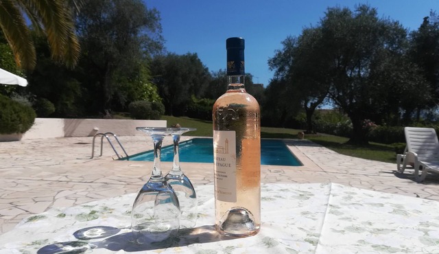 Quiet and large villa in Mougins with large pool